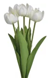 tulipan-bukiet-bialy-natural-touch