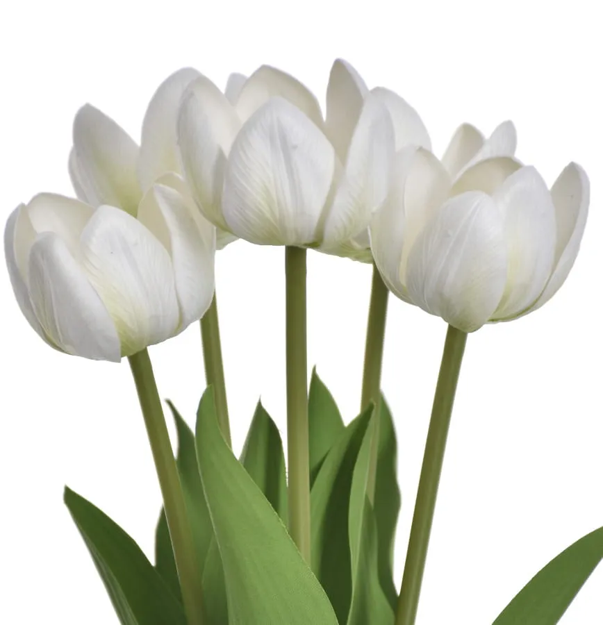 tulipan-bukiet-bialy-natural-touch