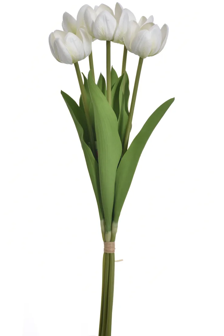 tulipan-bukiet-bialy-natural-touch