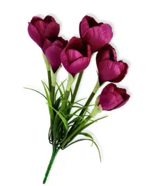 krokus-satynowy-bukiet-purpurowy