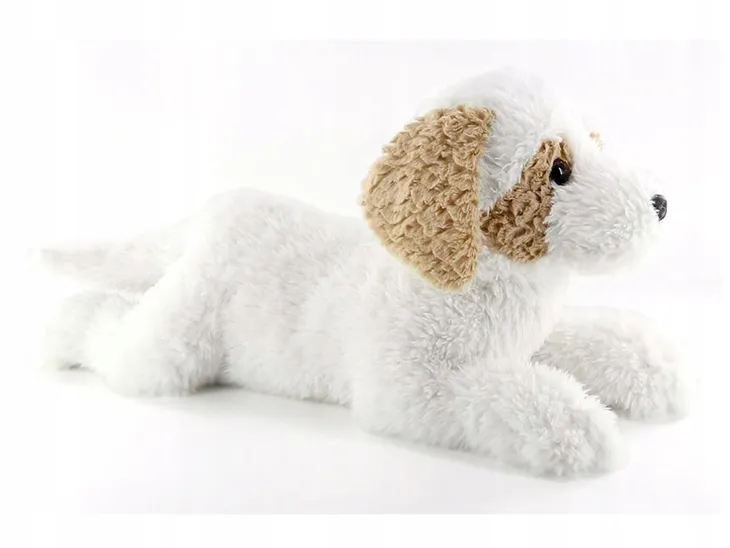 maskotka-pies-hawanczyk-60cm-lezacy-plec-chlopcy-dziewczynki