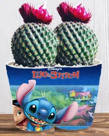doniczka-do-kwiatow-roslin-lilo-i-stich-producent