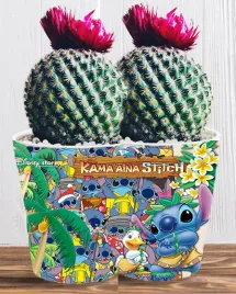 doniczka-do-kwiatow-roslin-lilo-i-stich-producent