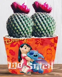doniczka-do-kwiatow-roslin-lilo-i-stich-producent