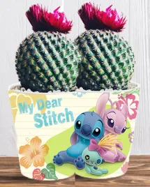 doniczka-do-kwiatow-roslin-lilo-i-stich-producent