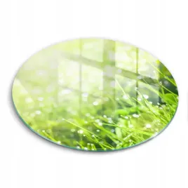 szklana-hartowana-deska-okragla-z-nadrukiem-natura-trawa-i-rosa-fi-30-cm