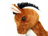 kon-z-glosem-45cm-mix-stan-nowy