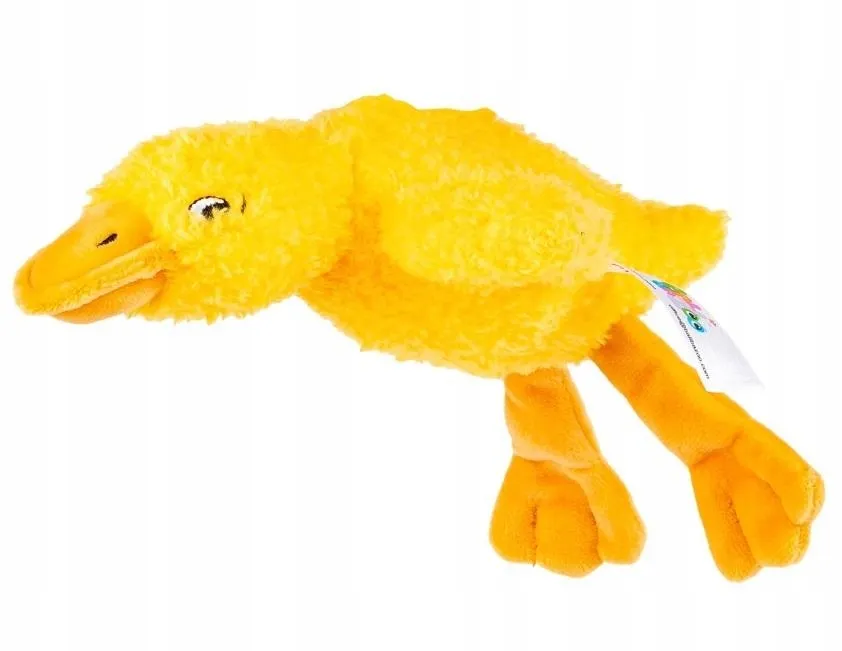 sensoryczna-ges-zolta