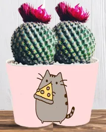 doniczka-do-kwiatow-roslin-pusheen-kotek-producent