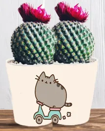 doniczka-do-kwiatow-roslin-pusheen-kotek-producent