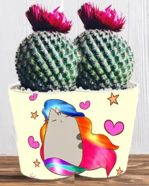 doniczka-do-kwiatow-roslin-pusheen-kotek-producent