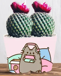 doniczka-do-kwiatow-roslin-pusheen-kotek-producent