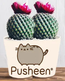 doniczka-do-kwiatow-roslin-pusheen-kotek-producent