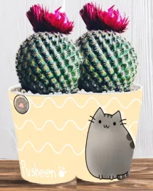 doniczka-do-kwiatow-roslin-pusheen-kotek-producent