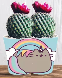 doniczka-do-kwiatow-roslin-pusheen-kotek-producent