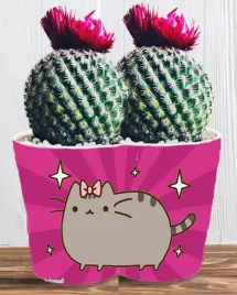doniczka-do-kwiatow-roslin-pusheen-kotek-producent