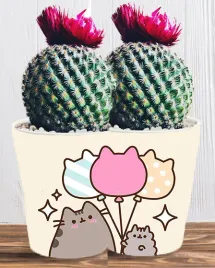 doniczka-do-kwiatow-roslin-pusheen-kotek-producent