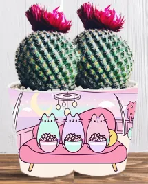 doniczka-do-kwiatow-roslin-pusheen-kotek-producent