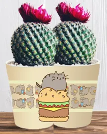 doniczka-do-kwiatow-roslin-pusheen-kotek-producent