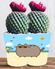 doniczka-do-kwiatow-roslin-pusheen-kotek-producent