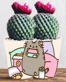 doniczka-do-kwiatow-roslin-pusheen-kotek-producent
