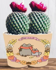 doniczka-do-kwiatow-roslin-pusheen-kotek-producent