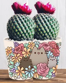doniczka-do-kwiatow-roslin-pusheen-kotek-producent