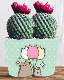 doniczka-do-kwiatow-roslin-pusheen-kotek-producent