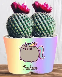 doniczka-do-kwiatow-roslin-pusheen-kotek-producent