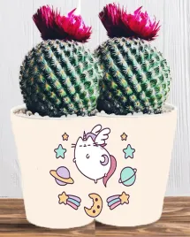 doniczka-do-kwiatow-roslin-pusheen-kotek-producent