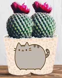 doniczka-do-kwiatow-roslin-pusheen-kotek-producent
