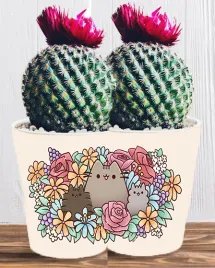 doniczka-do-kwiatow-roslin-pusheen-kotek-producent