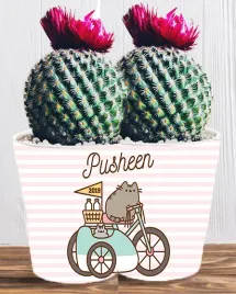 doniczka-do-kwiatow-roslin-pusheen-kotek-producent