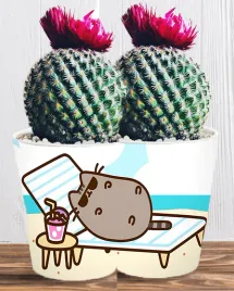 doniczka-do-kwiatow-roslin-pusheen-kotek-producent