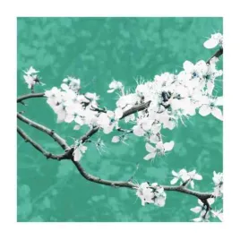 blossom-in-green-gail-mc-kenzie-plakat-obraz-30x30cm