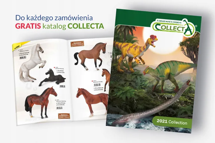 klacz-sugarbush-draft-plec-chlopcy-dziewczynki