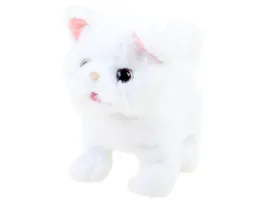 bialy-kotek-psotek-szuka-mamy