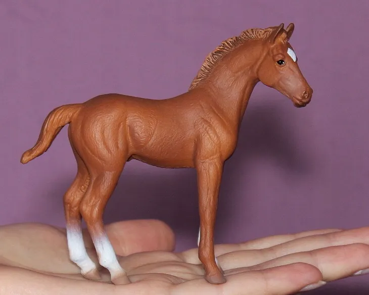 zrebie-thoroughbred-foal-standing-chesnut-plec-chlopcy-dziewczynki