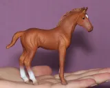 zrebie-thoroughbred-foal-standing-chesnut-plec-chlopcy-dziewczynki