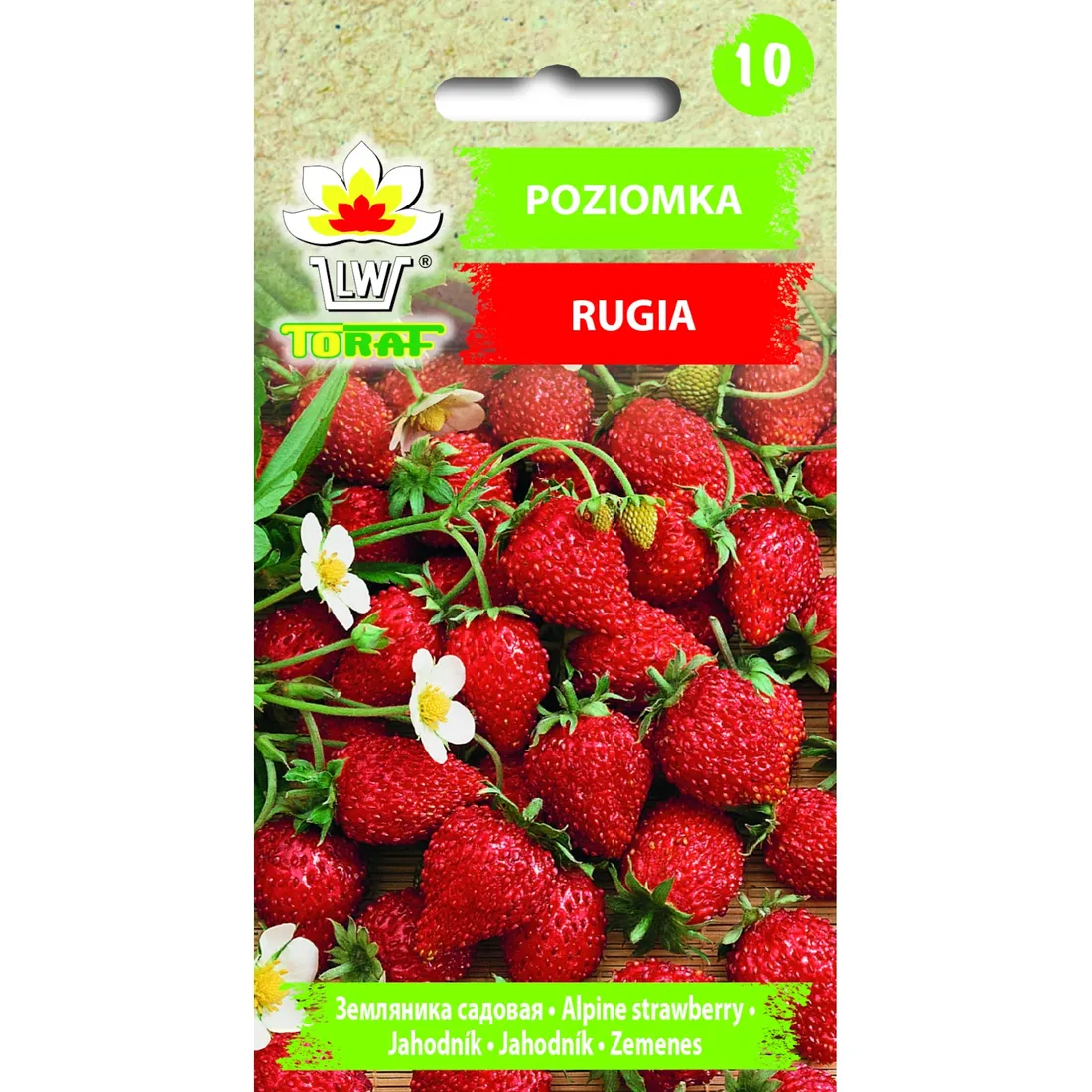 Grafika w opisie produktu