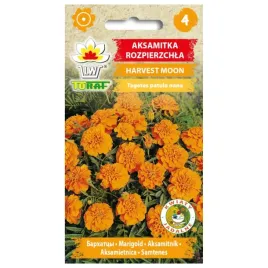aksamitka-rozpierzchla-pomaranczowa-harvest-moon-1g