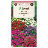 aster-karlowy-mix-1g