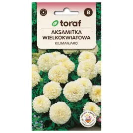 aksamitka-wielkokwiatowa-kilimanjaro-03g