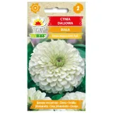 cynia-daliowa-biala-1g