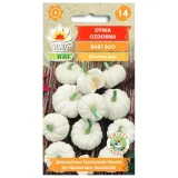dynia-ozdobna-baby-boo-2g