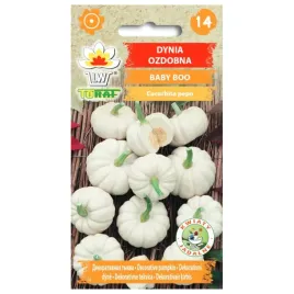 dynia-ozdobna-baby-boo-2g