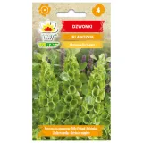 dzwonki-irlandzkie-05g