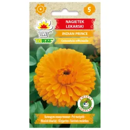 nagietek-lekarski-indian-prince-1g