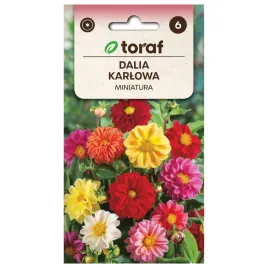 dalia-karlowa-miniatura-mix-05g