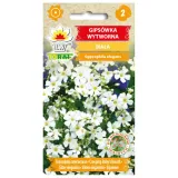 gipsowka-wytworna-biala-1g